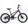 mtb-20-spic-rigid1