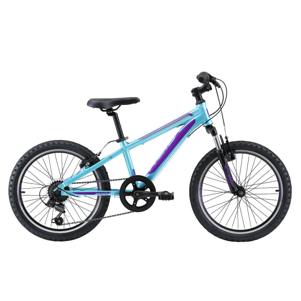velosiped-reid-2021-20-scout-blue-green-20-1-1000×10001-1