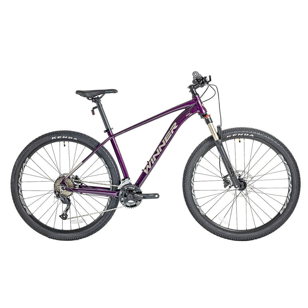 winner-solid-gt-29-20221