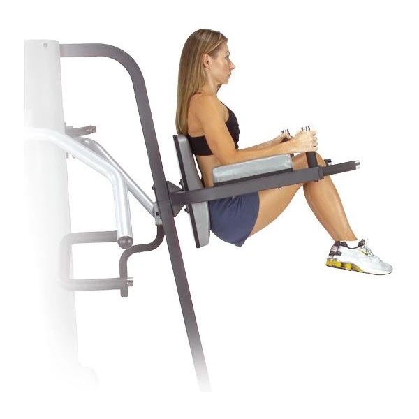 Брусья-cтойка Body-Solid /подъем ног