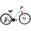 image_521