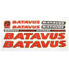 1220072753_naklejka-batavus-na