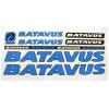 1220072754_naklejka-batavus-na
