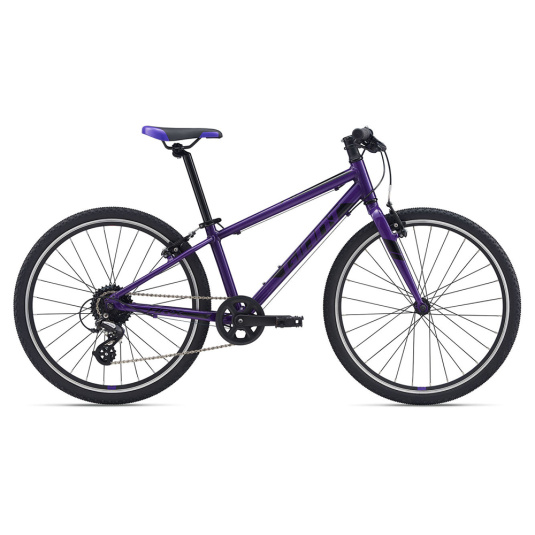 Велосипед Giant ARX 24 