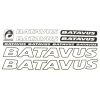 4106439233_naklejka-batavus-na