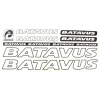 4106439233_naklejka-batavus-na