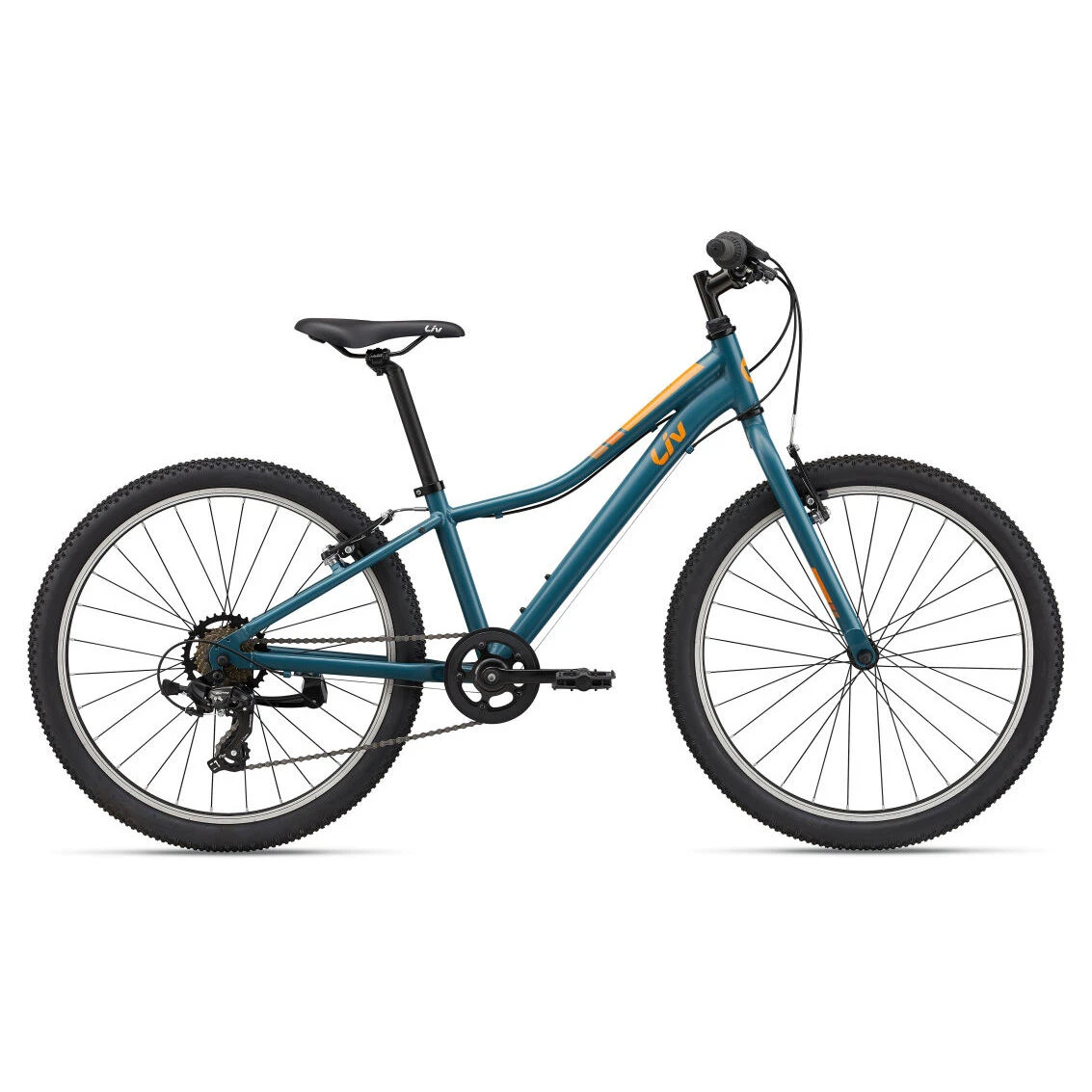 my22enchant24lite_colorbgrayblue1