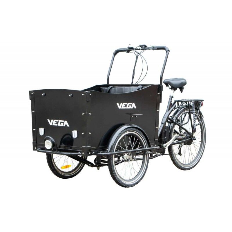 vega_riksha_electro_passenger-1-800×8001-1