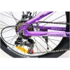 velosiped-crossbike-everest-24-12-fioletovyj1-2