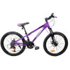 velosiped-crossbike-everest-24-12-fioletovyj4