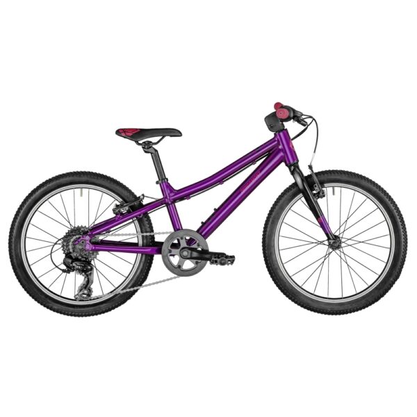 Велосипед Bergamont  Bergamonster 20 Girl 