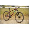 29-marin-bobcat-trail-4-2020-red-31