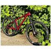 u_files_store_37_1091