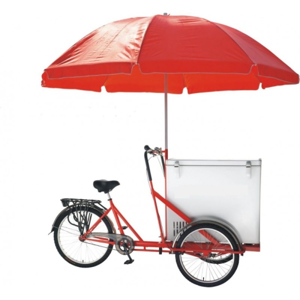 Трехколесный велосипед VEGA 26 RIKSHA-2 с термобоксом 