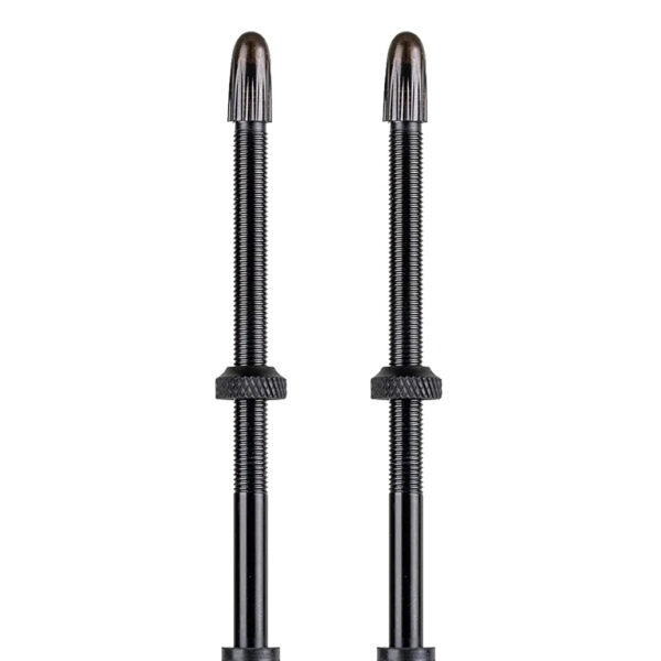 Вентиль Schwalbe для безкамерних ободів, 100mm (2 шт)