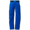 bryuki-muzhskie-gornolyzhnye-goldwin-atlas-pants