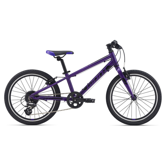 Велосипед Giant ARX 20 2021