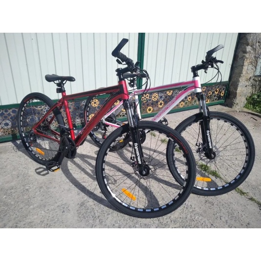 Велосипед 29 Toprider MTB Profi 