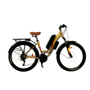 bike