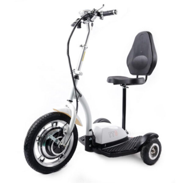 Электросамокат TTG SM T06-1 36V350W 12AH