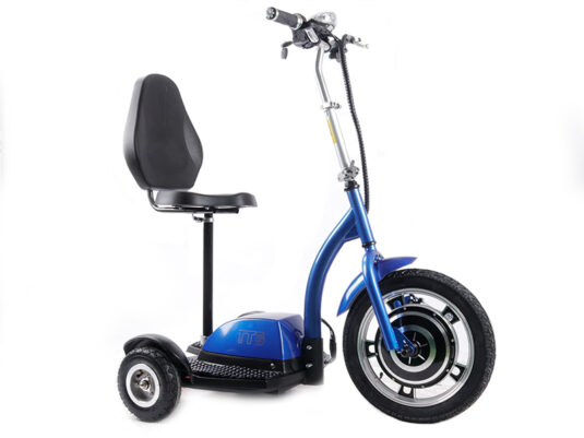 Электросамокат TTG SM T06-1 36V350W 12AH