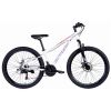 ops-sp-26-003-velosiped-st-26-space-034-dd-treschotka-rama-13-belo-sirenevyiy-2024-13886-1039×685-1039×6851-1