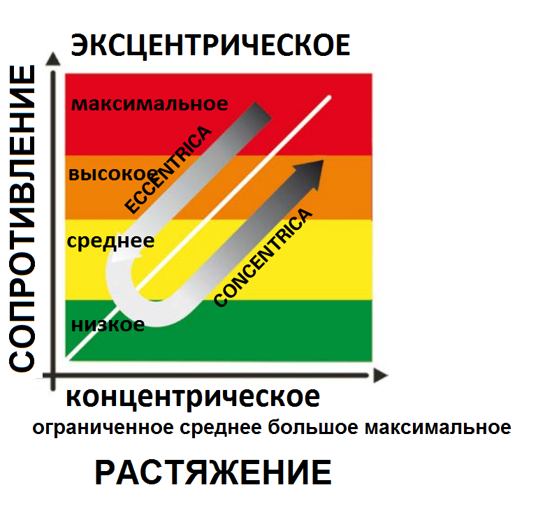 Фото Еспандер гумовий кільцями KWELL REVORING-2