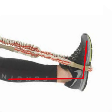 Фото Еспандер гумовий кільцями KWELL REVORING-2