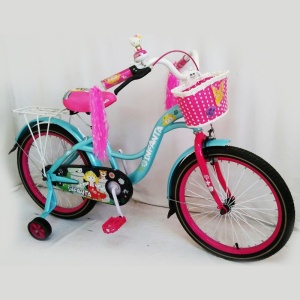 bike