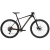 cyclone-sx-29-20241-photoroom