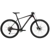 cyclone-sx-29-20241-photoroom