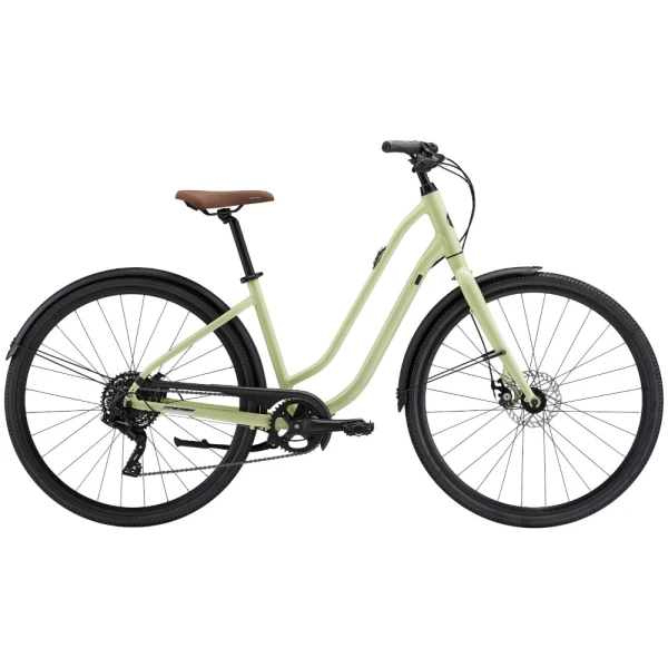 Велосипед Liv 28 Flourish 3 Disc