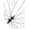 adeb7466-23f9-11ef-85b9-782bcba6cedd_bf87c58d-23fd-11ef-85b9-782bcba6cedd