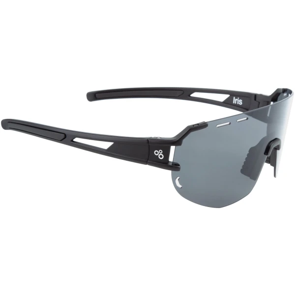 Очки ONRIDE Iris, черные с дымчатыми линзами (17%) в жестком чехле