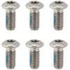 big_2-t25-ti-torx-rotor-bolts_34609_pic1