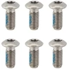 big_2-t25-ti-torx-rotor-bolts_34609_pic1