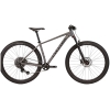 cyclone-sx-29-20251-photoroom
