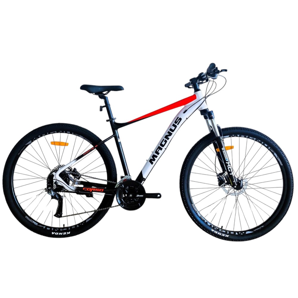 00000171395_s1-photoroom