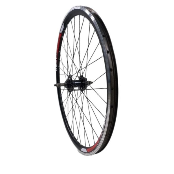 Колесо 24" заднее 14Gх36Н втулка Shunfeng SF-HB25R