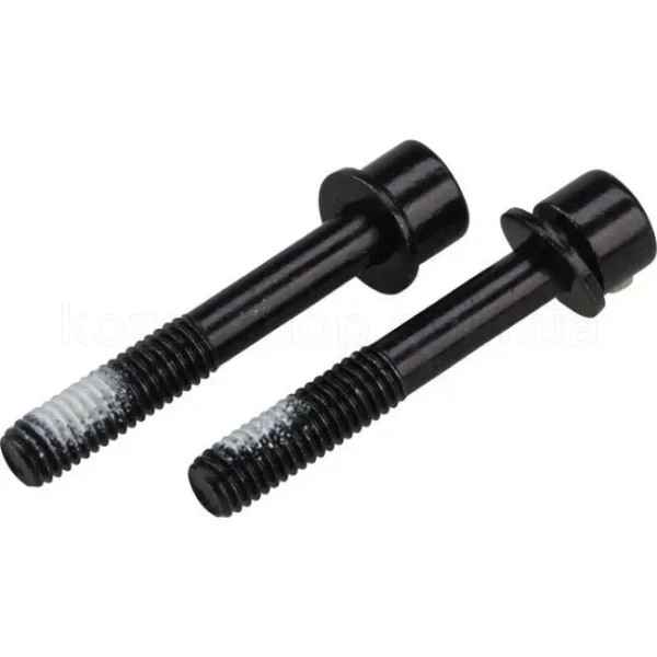 Болти кріплення каліпера TRP Flat Mount Mounting bolt 32мм, чорний