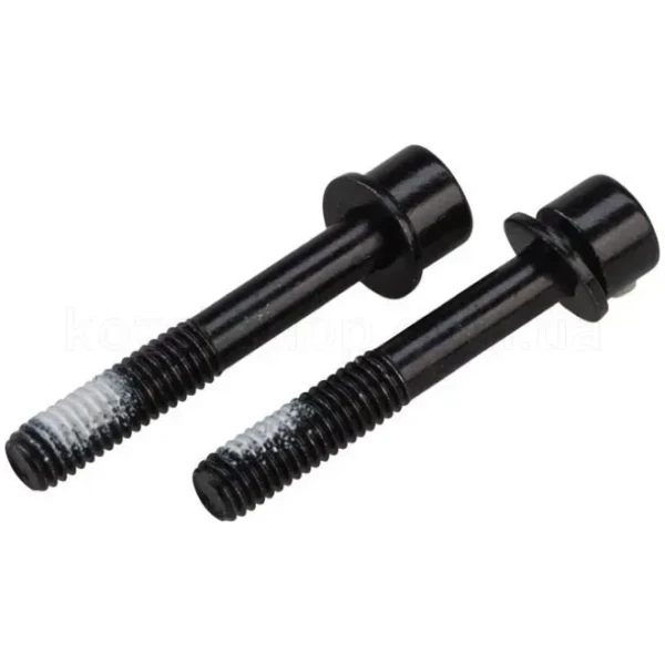 Болти кріплення каліпера TRP Flat Mount Mounting bolt 32мм, чорний