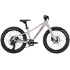 cyclone-pixel-20-20251