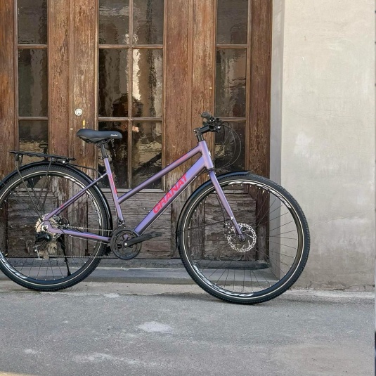 Велосипед 28" Dorozhnik GRANAT W DD