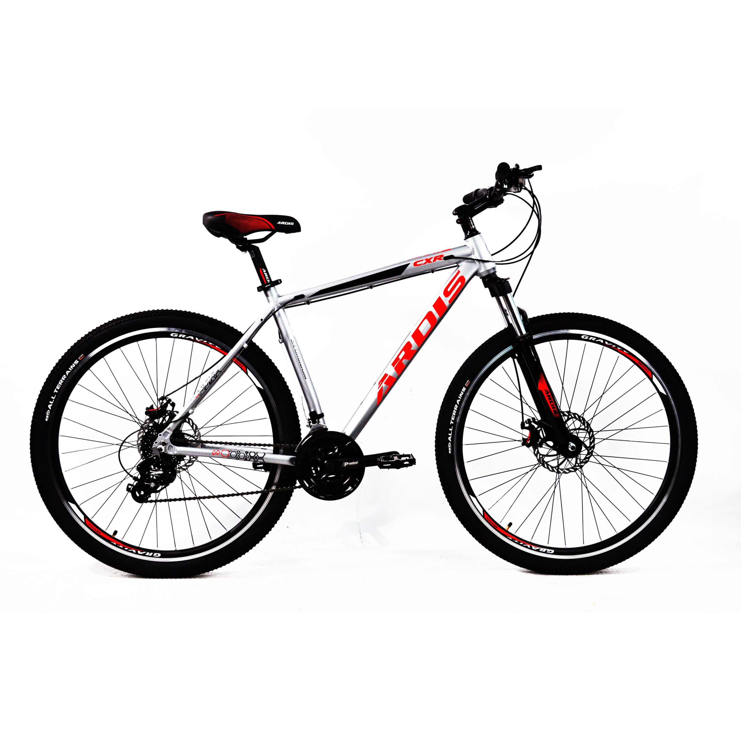 sayt251-scaled-2