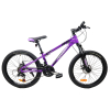velosiped-crossbike-everest-24-12-fioletovyj41