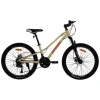 velosiped-spark-road-24-12-beige-01-500×500-1