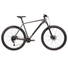 winner-solid-gt-29-20251-photoroom-1