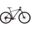 winner-solid-gt-29-20251-photoroom